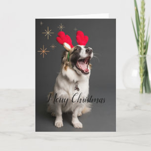 Paws & Joy: Adorable Dog "Merry Christmas" Card