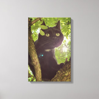 Paws of the Wild Canvas Print