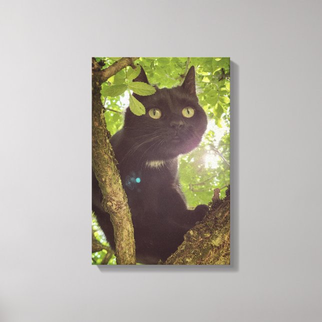 Paws of the Wild Canvas Print (Front)