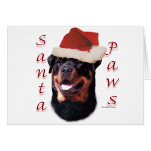 Paws Père Noël Rottweiler