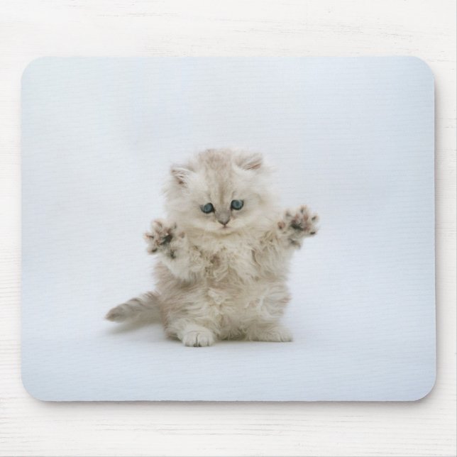 Paws up mouse pad (Front)