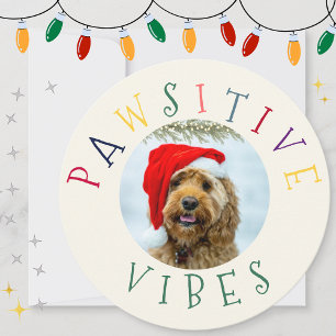 Pawsitive Vibes Colourful Pet Circle Holiday Card