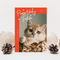Pawsitively Festive Cat Photo Red Christmas