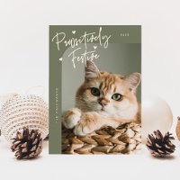Pawsitively Festive Cat Photo Sage Green Christmas