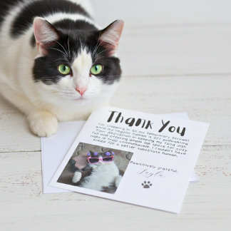 Pawsitively Grateful Custom Photo Thank You Card