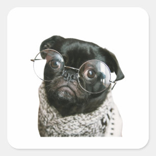 Pawsitively Hilarious: Doggone Funny Moments Square Sticker