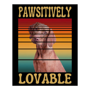 PAWSITIVELY LOVABLE  POSTER