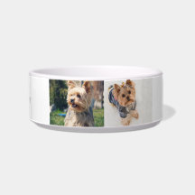"Pawsitively Personalized Yorkie  Medium Bowl 