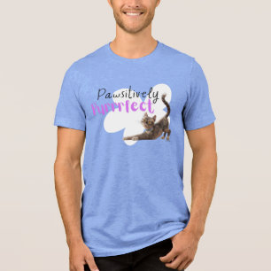 Pawsitively Purrrfect Tri-Blend Shirt