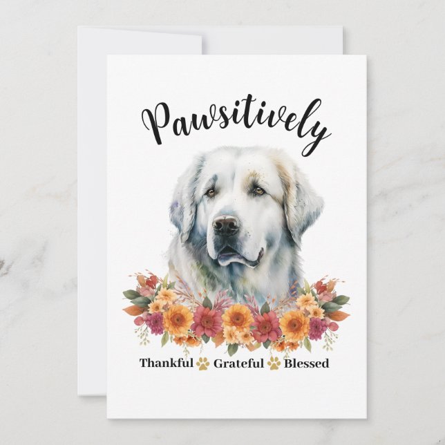Pawsitively Thankful Grateful Blessed Cute Dog Card (Front)