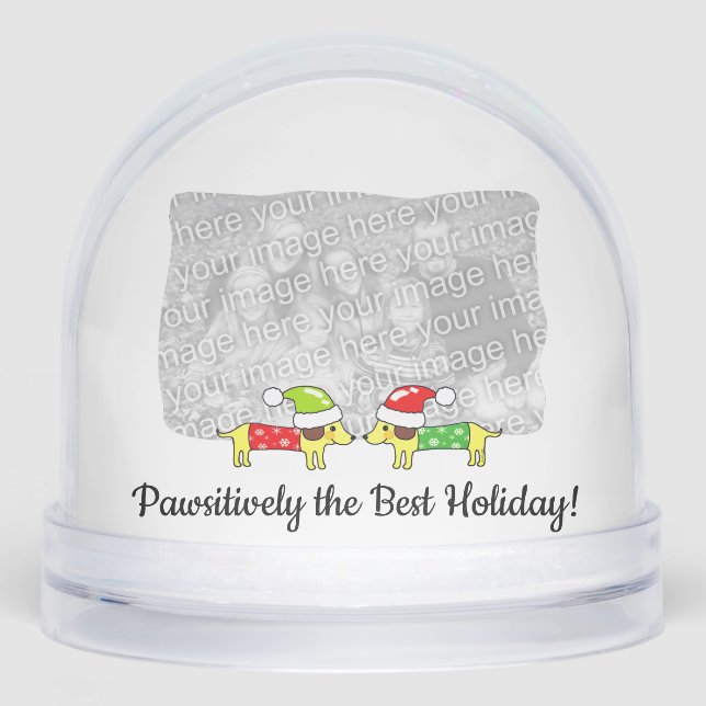 Pawsitively the Best Holiday – Dog Design Snowglobe (Front)
