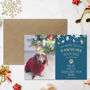 Pawsome Holiday Season Pet Holiday Photo Card