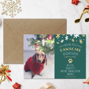 Pawsome Holiday Season Pet Holiday Photo Card
