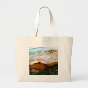 Paxillus involutus grand sac fourre-tout