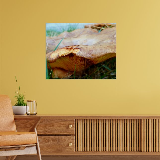 Paxillus involutus poster (Living Room 2)