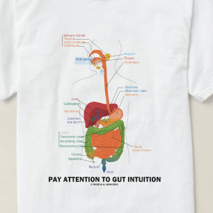 Pay Attention To Gut Intuition (Anatomical Humour) T-Shirt