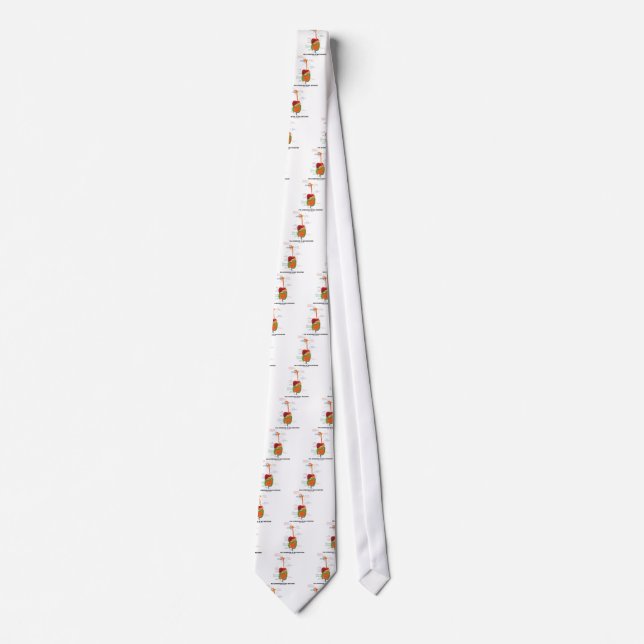 Pay Attention To Gut Intuition (Digestive System) Tie (Front)