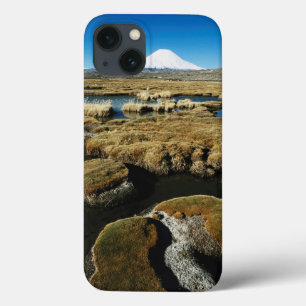 Payachalas Volcanos iPhone 13 Case