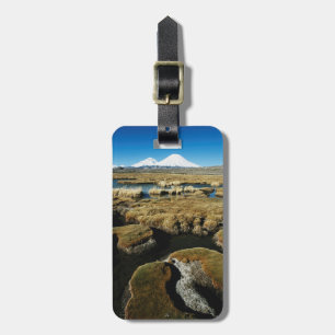 Payachalas Volcanos Luggage Tag