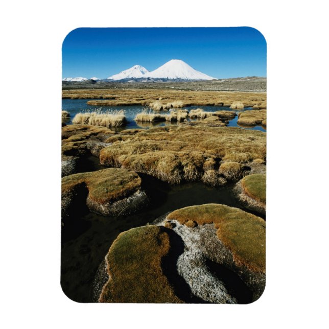 Payachalas Volcanos Magnet (Vertical)