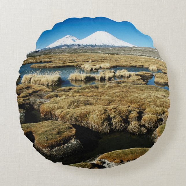 Payachalas Volcanos Round Pillow (Front)