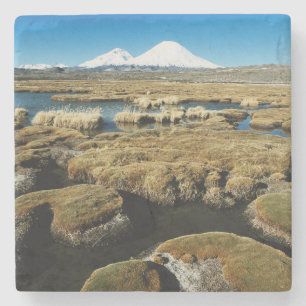 Payachalas Volcanos Stone Coaster