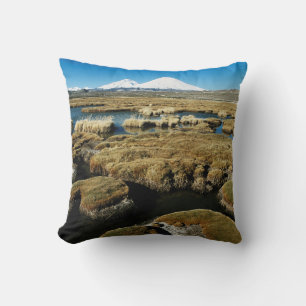 Payachalas Volcanos Throw Pillow