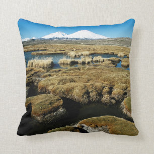 Payachalas Volcanos Throw Pillow