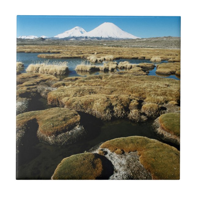 Payachalas Volcanos Tile (Front)