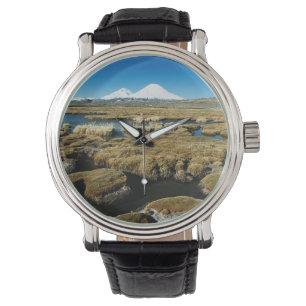 Payachalas Volcanos Watch