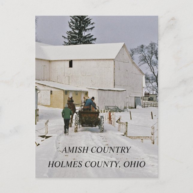 PAYS AMISH, LE COMTÉ DE HOLMES. Carte postale de (Devant)