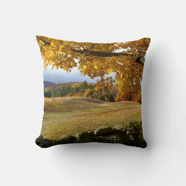 Pays Coussin d'automne (Recto)