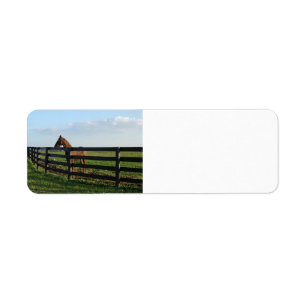 Pays de Bluegrass de Kentucky