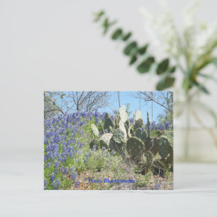 Pays de carte postale Texas Bluebonnets