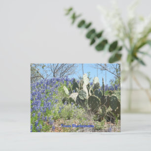 Pays de carte postale Texas Bluebonnets et cactus
