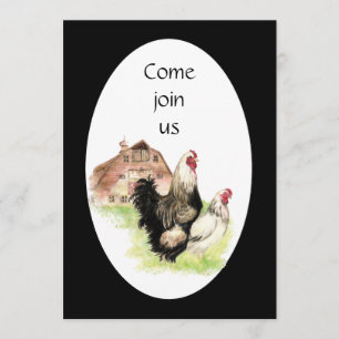 Pays Poulets et coq Grange Invitation de ferme sur