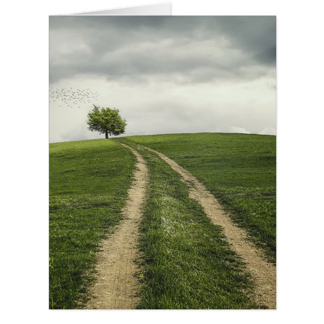 Paysage arboré sur la route (Devant)