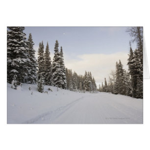 Paysage couvert de neige