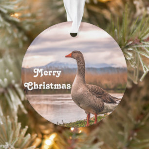 Paysage de Joty Goose