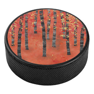 Paysage de la forêt de Birch
