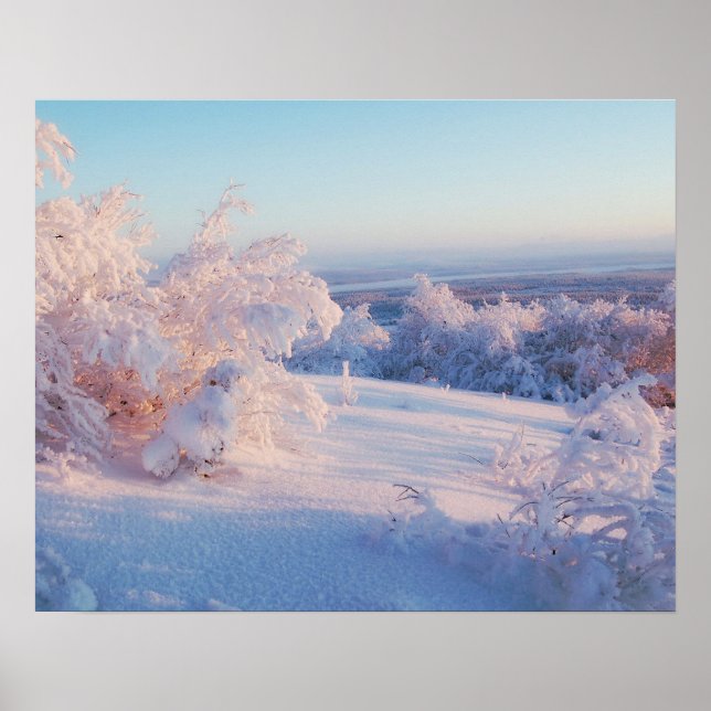 Paysage de neige d'hiver Photo Nature Poster du mu (Devant)
