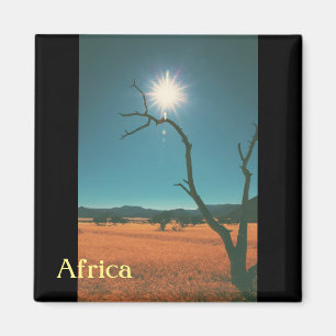 Paysage de savane Bush Afrique Arbre Magnet