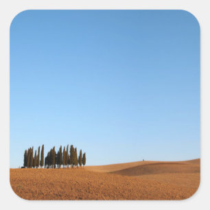 Paysage de Toscane carré avec autocollant cyprès