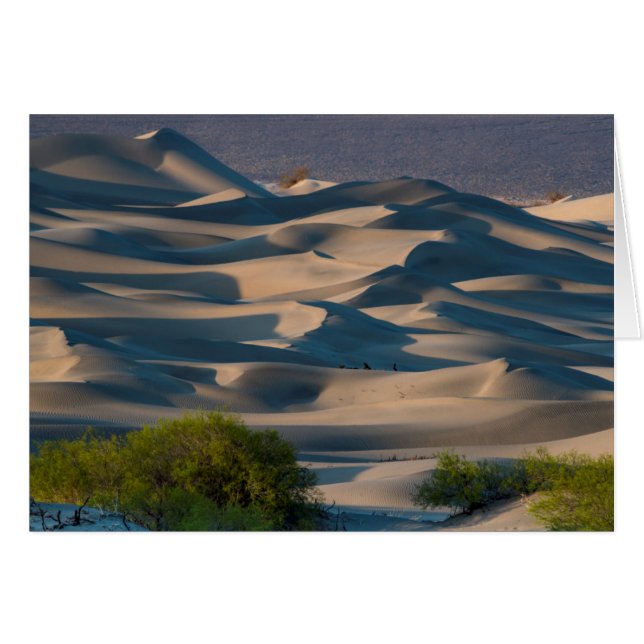 Paysage des dunes de sable, Californie (Devant horizontal)
