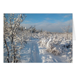 Paysage d'hiver