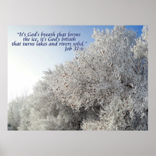Paysage d'hiver Affiche inspirante