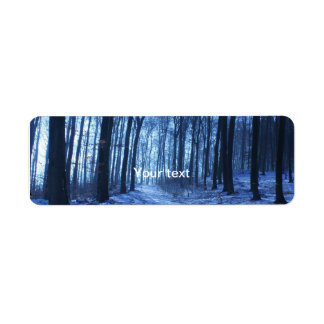 Paysage d'hiver bleu