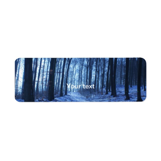 Paysage d'hiver bleu (Devant)