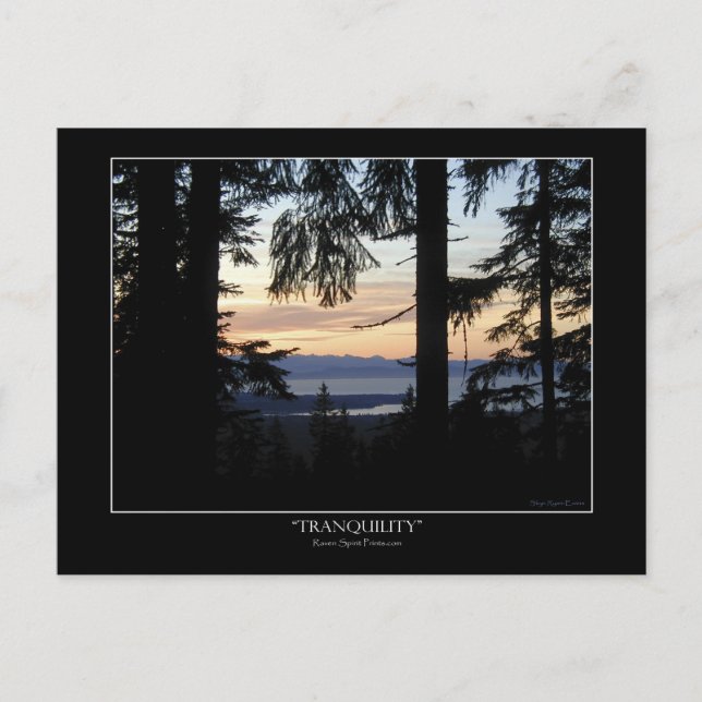 Paysage forestier Cartes postales (Devant)