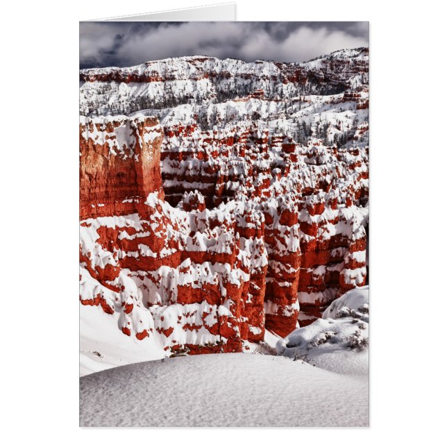 Paysage gelé (Devant)